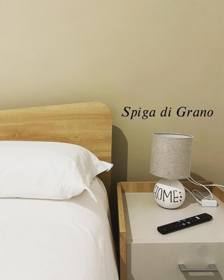 Naturelais Monopoli Luaran gambar
